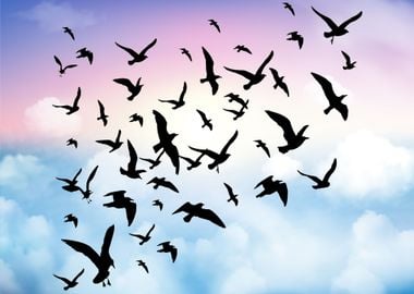 Birds flying on the Sky