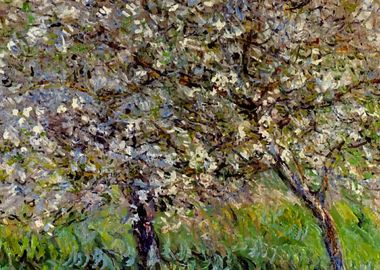 Claude Monet Trees