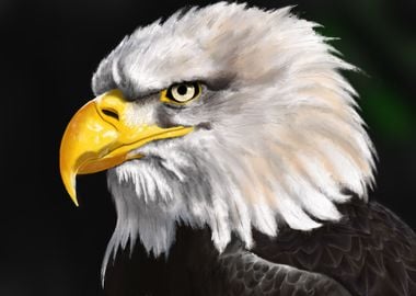 Eagle