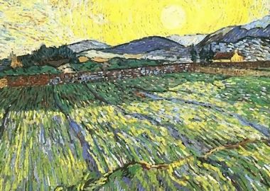 Van Gogh Field