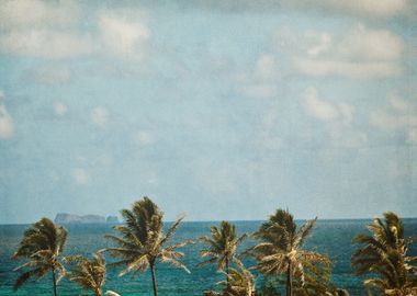 Vintage Hawaii Beach 39