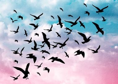 Birds flying in the Sky