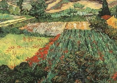 Van Gogh Fields