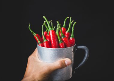 Fresh red chillies 