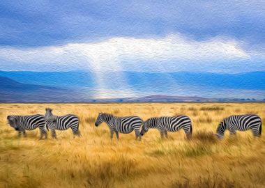 Zebras Wandering Savanna