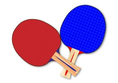 Two Table Tennis Bats