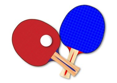 Pair Of Table Tennis Bats