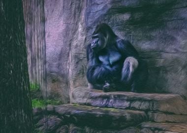 Gorilla Sitting on a Rock