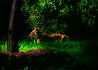 Resting Tiger