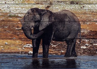 Elephant Art