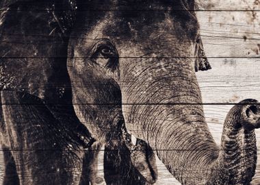 Elephant Art