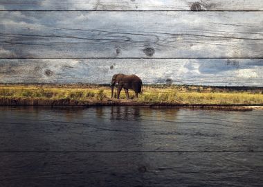 Elephant Art