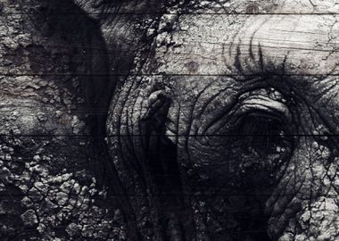 Elephant Art