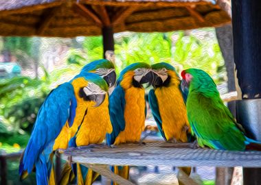 A Group of parrots