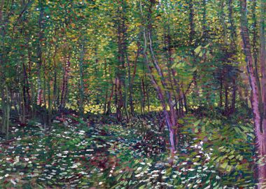 Van Gogh Undergrowth