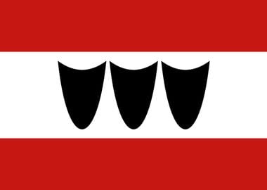 Trebic flag