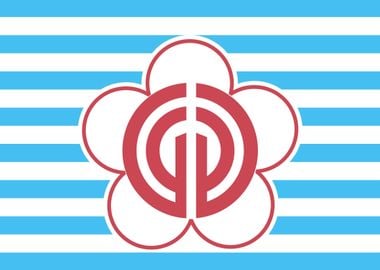 taipei flag