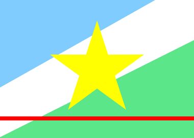 Roraima flag Brazil