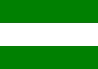 Rotterdam flag