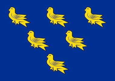 Sussex county flag