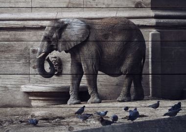 Elephant Art