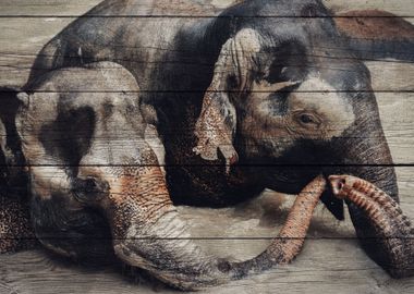 Elephant Art