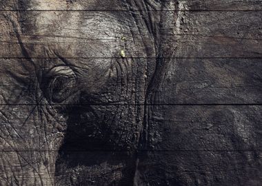 Elephant Art