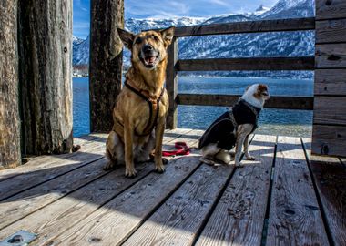 Leeloo n Mya in Hallstatt