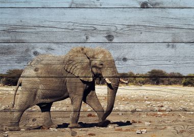 Elephant Art