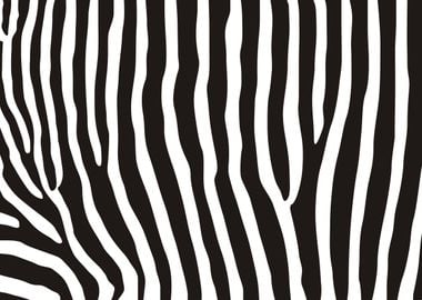 zebra pattern