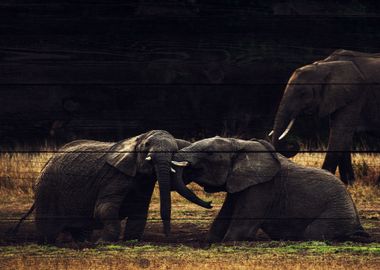 Elephant Art