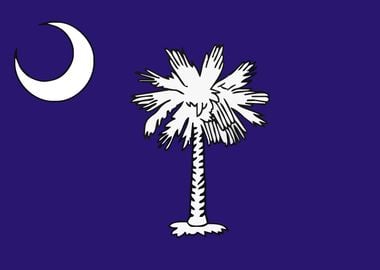 south carolina flag