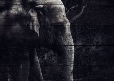 Elephant Art