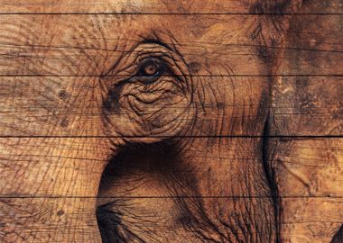 Elephant Art