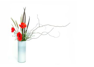 poppy ikebana