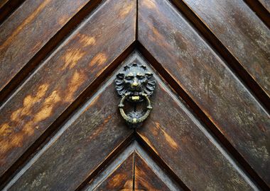 lion head knocker