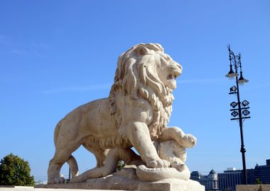 budapest lion