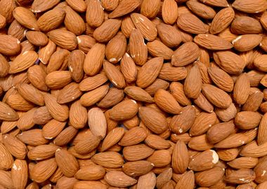 almonds seeds texture