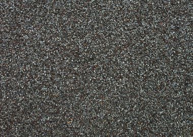 Dry poppy seeds texture