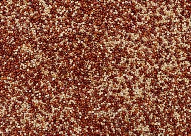 red chia seeds texture