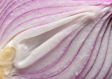 red onion texture