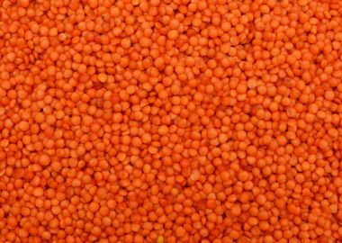 red lentil seeds texture