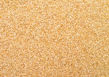 sesame seed texture