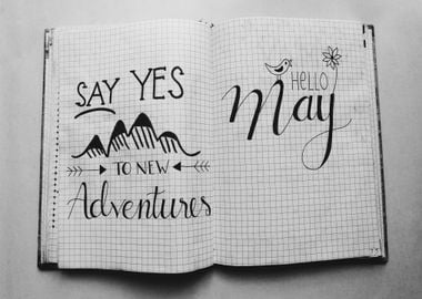 say yes