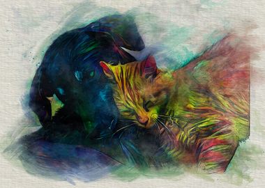 Colorful Cat and Dog