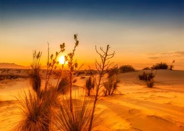 White Sands Sunset 