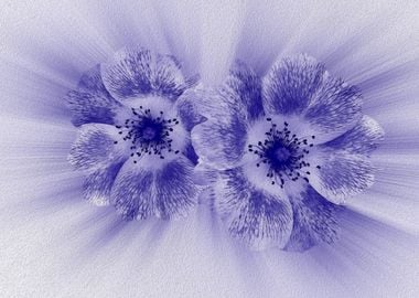 Flower in blue 2