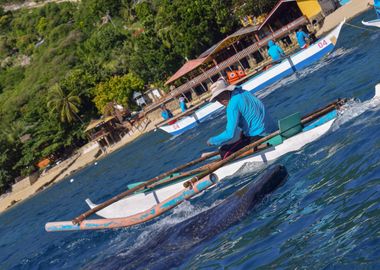 Oslob Whale Shark Watching