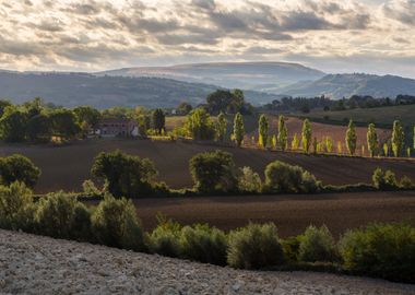 Marche  Italy  Countryside