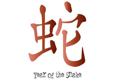 Year of the Snake